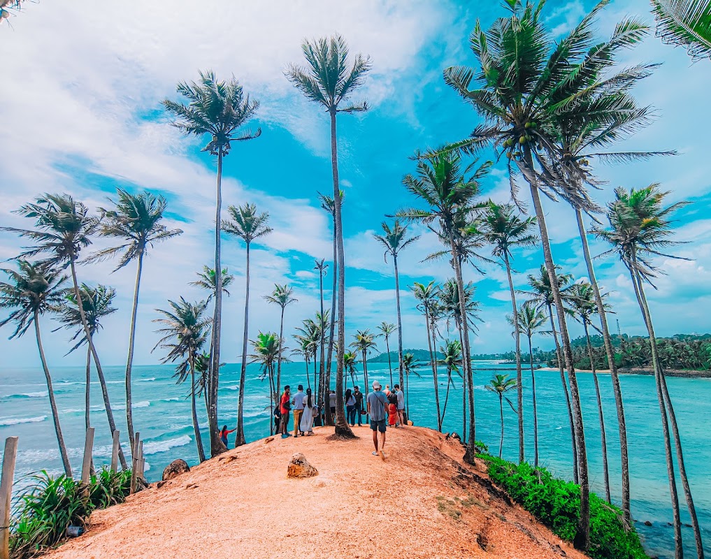 Coconut Tree Hill – Mirissa, Sri Lanka (photo 1)