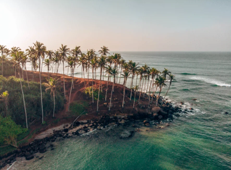 Coconut Tree Hill – Mirissa, Sri Lanka (photo 2)