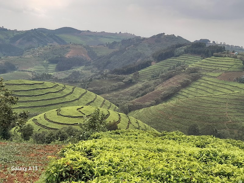 Congo-Nile Trail au départ de Karongi – Karongi, province de l'Ouest (photo 3)
