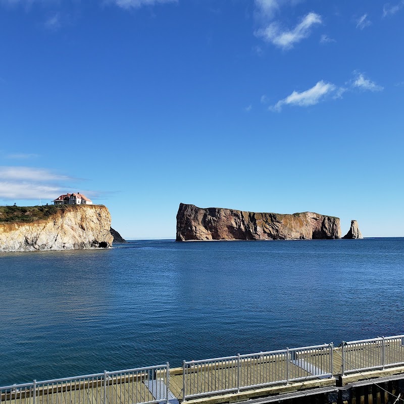 Croisière d'observation des baleines – 5 Rue du Quai, Percé, QC G0C 2L0, Canada (photo 1)