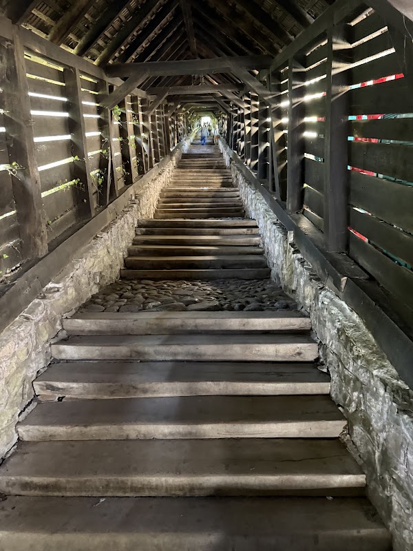 Escalier couvert de Sighișoara – Scara Şconitorilor, 545400 Sighișoara, Romania (photo 1)