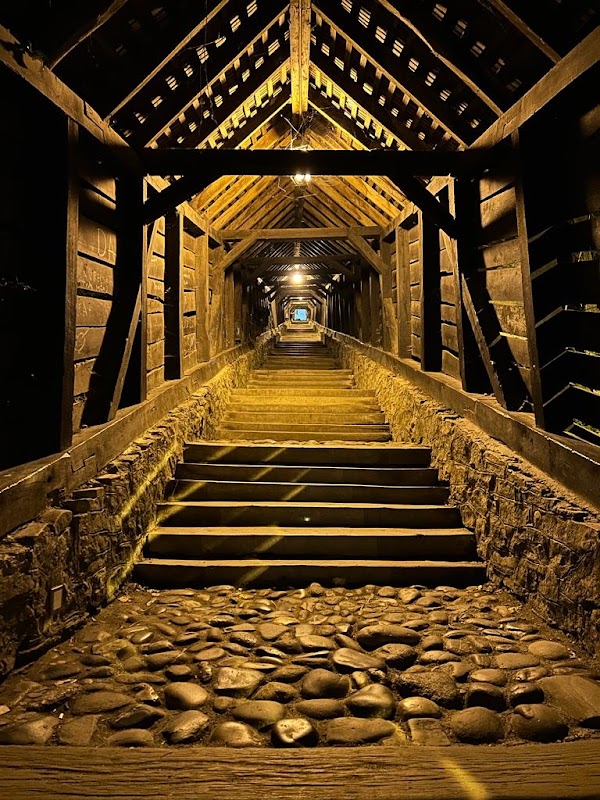 Escalier couvert de Sighișoara – Scara Şconitorilor, 545400 Sighișoara, Romania (photo 2)