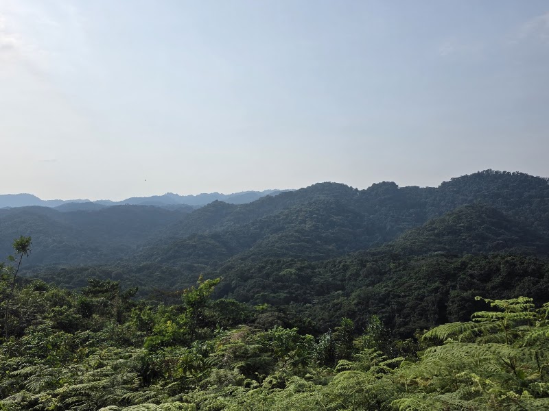 Expérience communautaire Batwa – Buhoma, Bwindi Impenetrable National Park, Kanungu, Ouganda (photo 2)