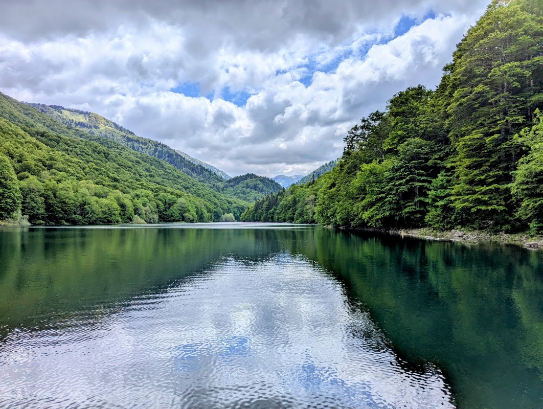 Forêt vierge de Biogradska Gora – Kolašin, Monténégro (photo 1)