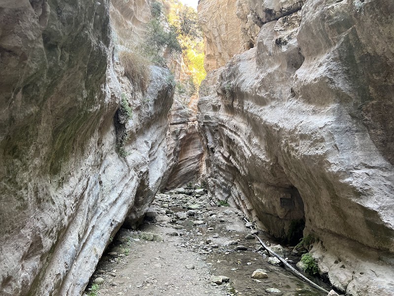 Gorge d'Avakas, péninsule d'Akamas – Avakas Gorge Rd, Pegeia, Pafos 8570, Chypre (photo 2)