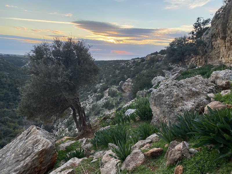 Gorge d'Avakas, péninsule d'Akamas – Avakas Gorge Rd, Pegeia, Pafos 8570, Chypre (photo 3)