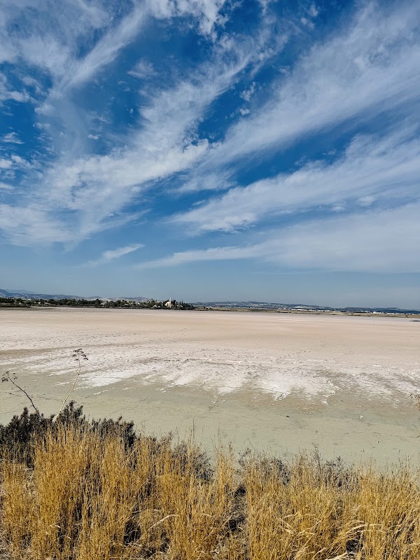 Hala Sultan Tekke et le lac salé – Tekke Road, Larnaka 6029, Chypre (photo 3)