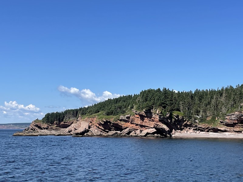 Île Bonaventure : croisière et débarquement – 4 Rue du Quai, Percé, QC G0C 2L0, Canada (photo 3)