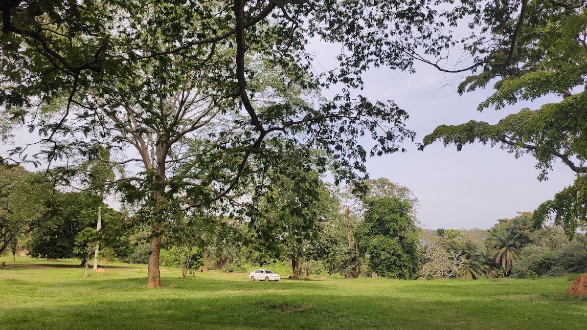 Jardins botaniques d'Entebbe – Entebbe Botanical Gardens, Entebbe, Ouganda (photo 1)