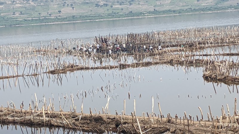 Lac de cratère salé de Katwe – Katwe Salt Lake, Queen Elizabeth National Park, Ouganda (photo 2)