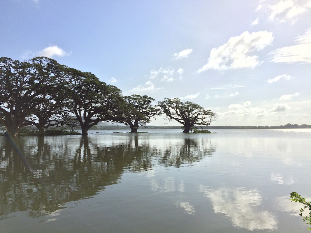 Lac Tissa Wewa – Tissa Lake, Tissamaharama, Sri Lanka (photo 1)