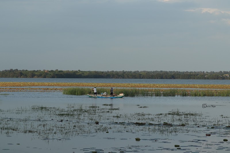 Lac Tissa Wewa – Tissa Lake, Tissamaharama, Sri Lanka (photo 3)