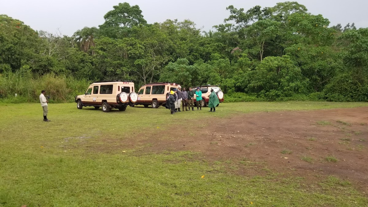 Marais de Bigodi (guides KAFRED) – Bigodi Wetland Sanctuary, Kibale, Ouganda (photo 1)