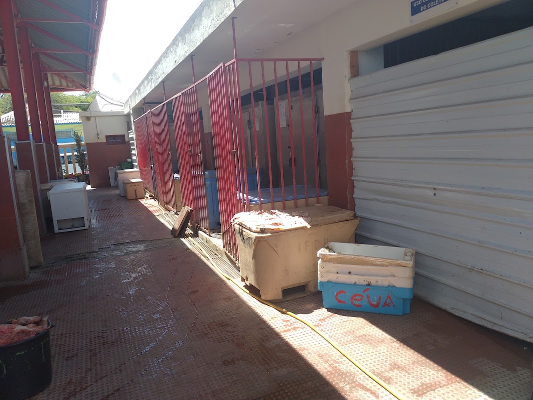 Mercado de Peixe – Mercado de Peixe, Mindelo, Cap-Vert (photo 1)