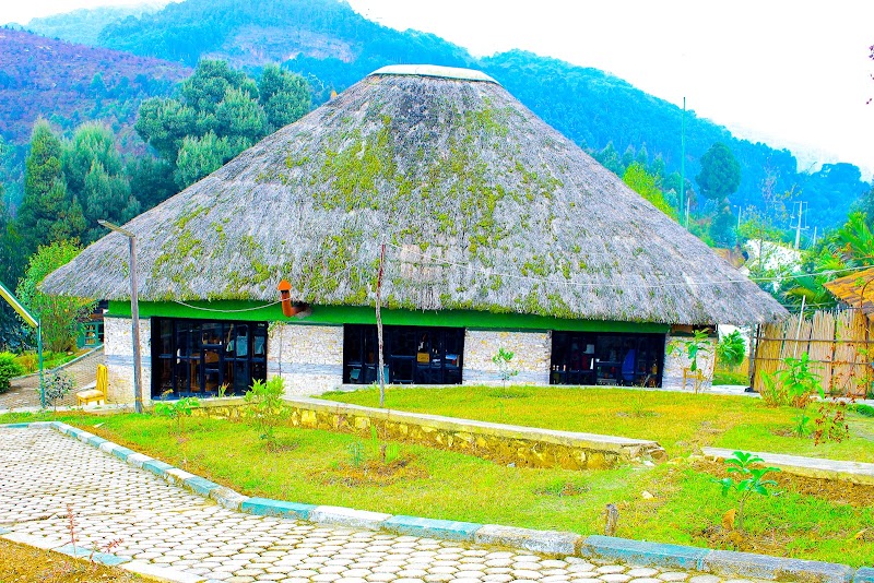 Nyungwe Nziza Ecolodge – Kitabi, district de Nyamagabe, lisière du parc national de Nyungwe (photo 3)