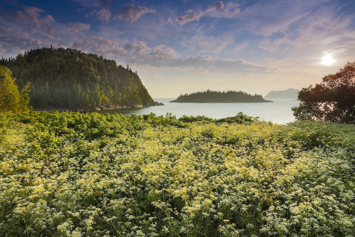 Parc national du Bic – Parc national du Bic, 3382 route 132 Ouest, Le Bic, Rimouski, QC, Canada (photo 1)