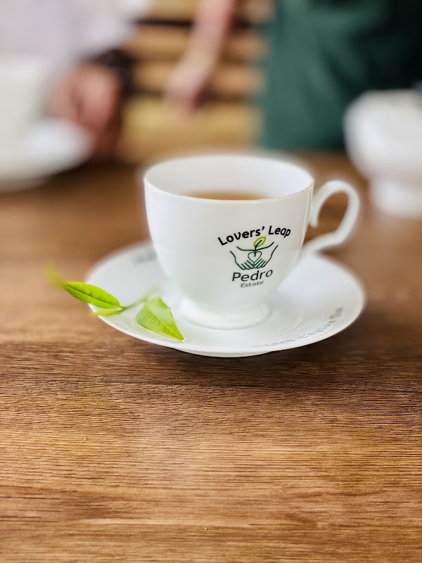 Pedro Tea Center and Factory – Nuwara Eliya 22200, Sri Lanka (photo 1)