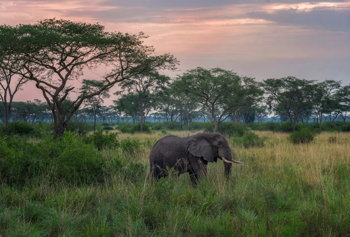 Pelican Point (lac Edward) – Pelican Point, Lake Edward, Queen Elizabeth National Park, Ouganda (photo 1)