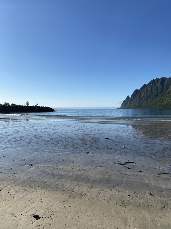 Plage d'Ersfjordstranda – Ersfjordstranda, Ersfjordveien, Senja, Norvège (photo 3)