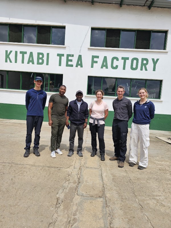 Plantation et fabrique de thé de Kitabi – Kitabi, district de Nyamagabe (photo 2)