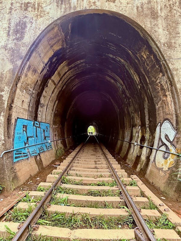 Pont aux neuf arches – Ambagollapathana, Ella, Sri Lanka (photo 3)