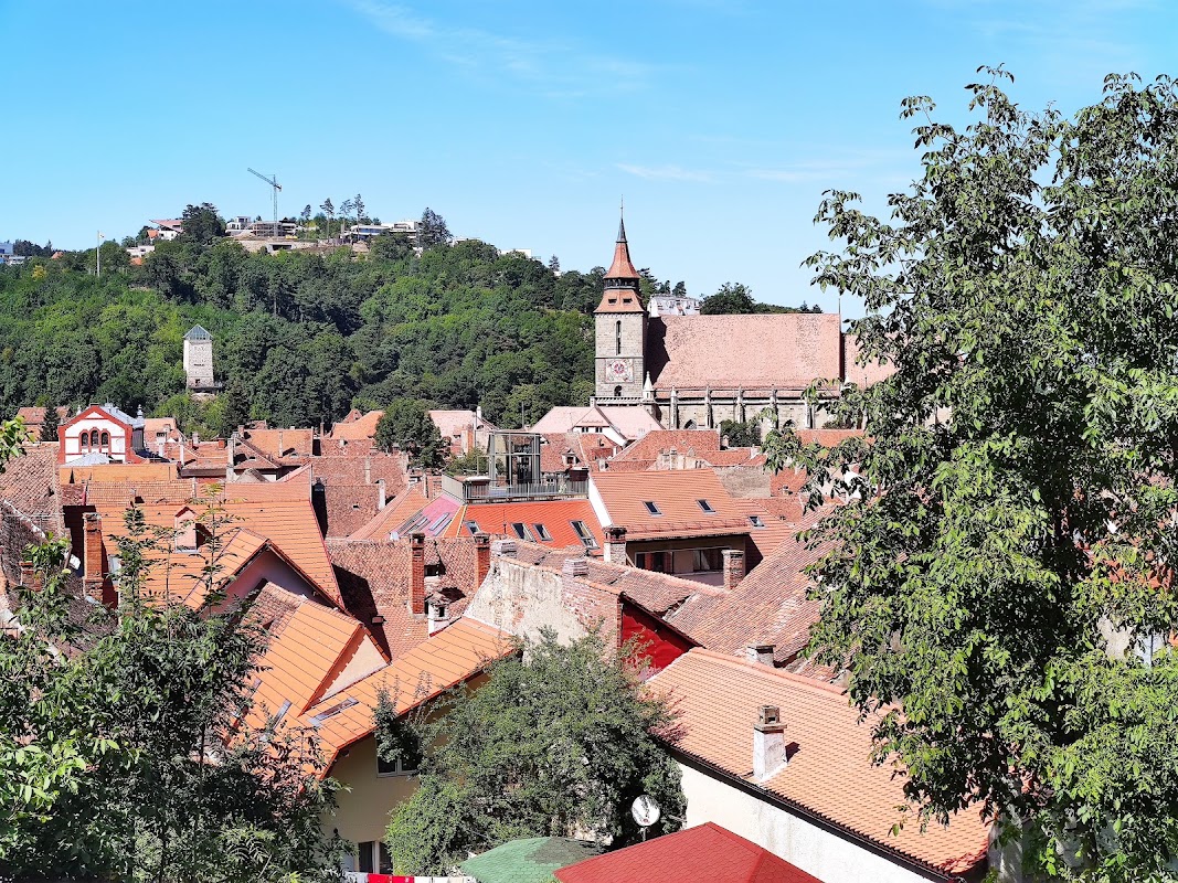 Promenade sous le mont Tâmpa – Aleea Tiberiu Brediceanu, Brașov, Romania (photo 1)