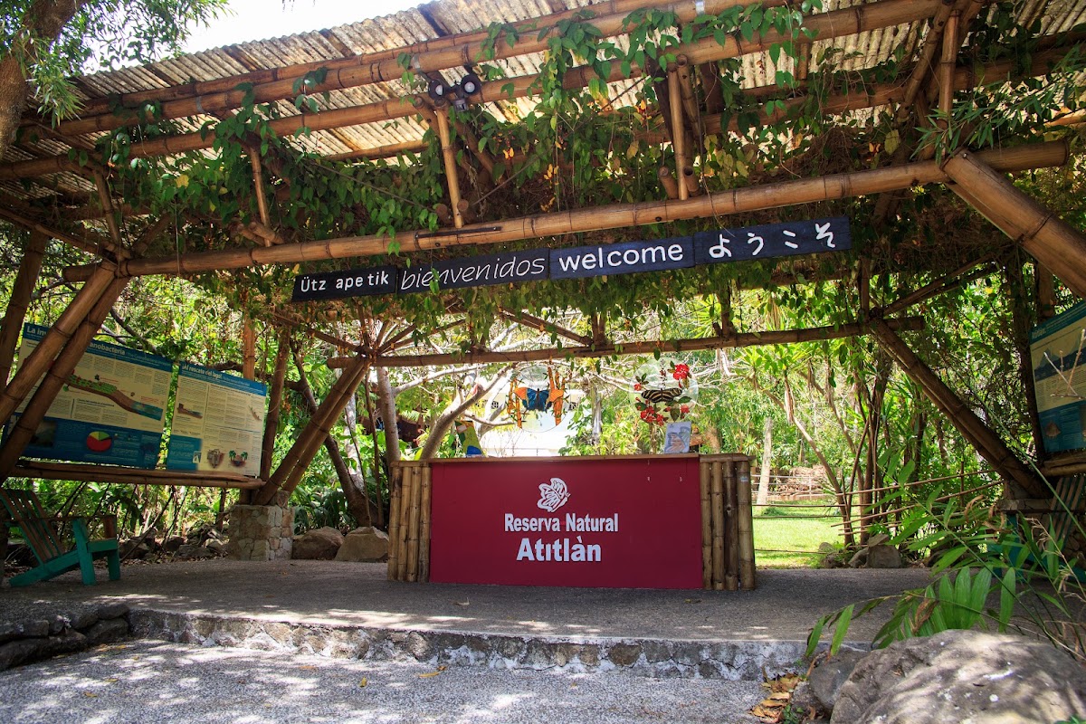Réserve naturelle Atitlán – Antigua Finca San Buenaventura, Panajachel, Guatemala (photo 1)