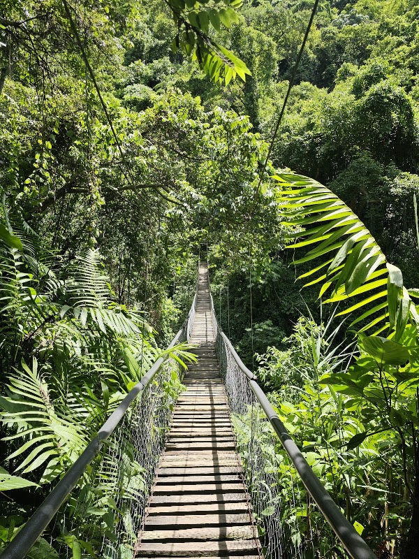 Réserve naturelle Atitlán – Antigua Finca San Buenaventura, Panajachel, Guatemala (photo 2)