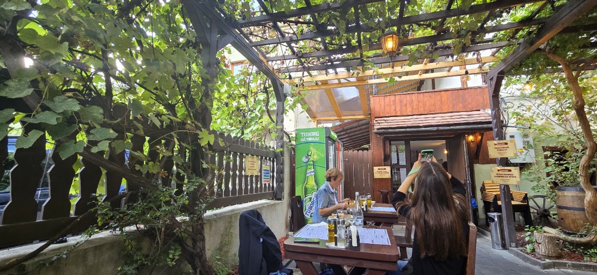 Roata – Strada Alexandru Ciurea 6, Cluj-Napoca 400486, Romania (photo 1)