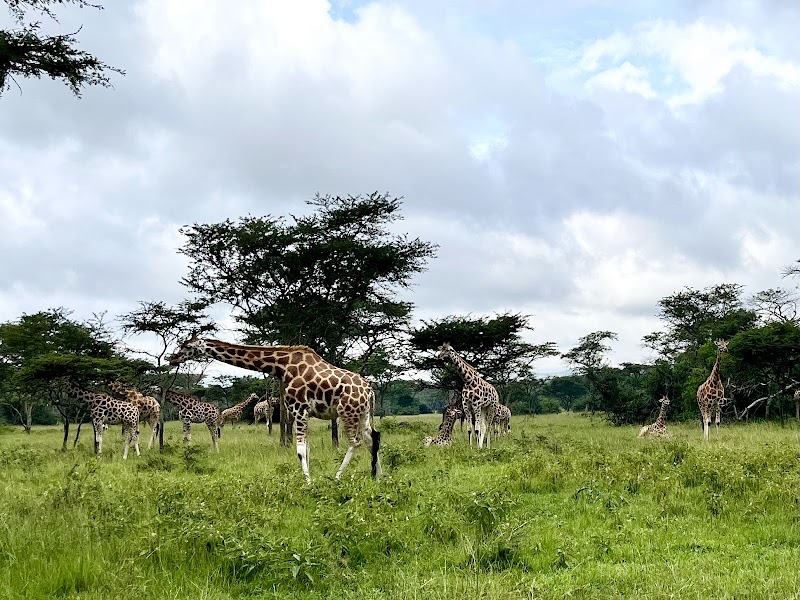 Safari à pied du lac Mburo (Rwonyo) – Rwonyo Rest Camp, Lake Mburo National Park, Ouganda (photo 2)