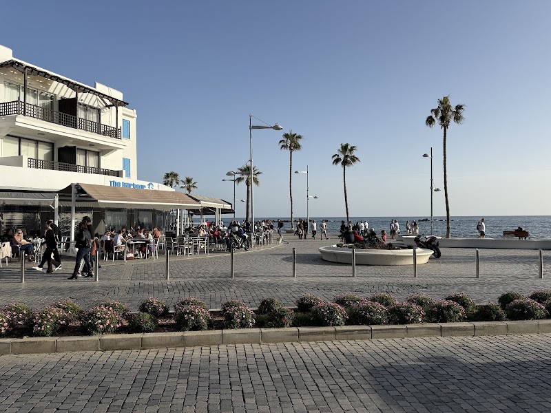 The Harbour – Poseidonos Ave, Pafos 8040, Chypre (photo 3)