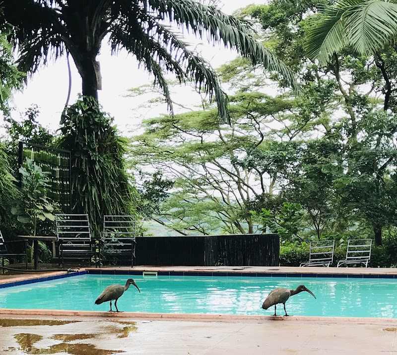 The Nile Porch – Bujagali, F5M7+9MQ, Jinja, Uganda (photo 3)