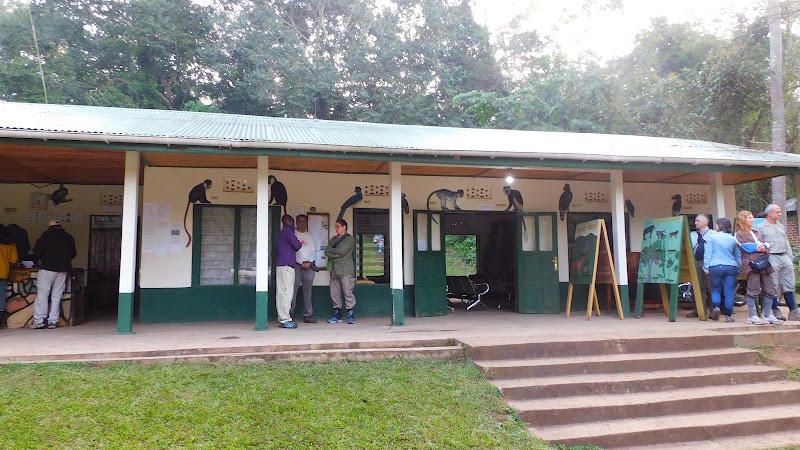 Trek des chimpanzés de Kibale (Kanyanchu) – Kanyanchu Visitor Centre, Kibale National Park, Ouganda (photo 3)