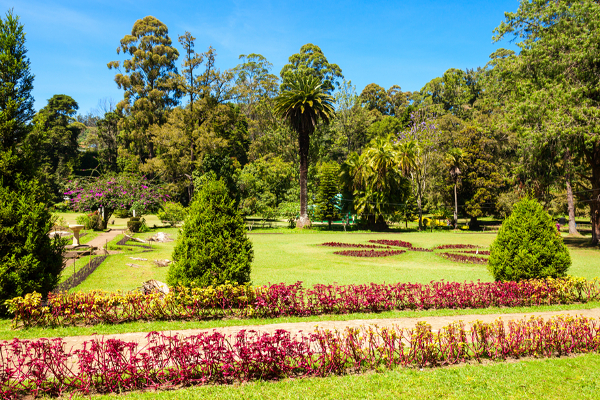 Victoria Park – PBC Hwy, Nuwara Eliya 22200, Sri Lanka (photo 1)