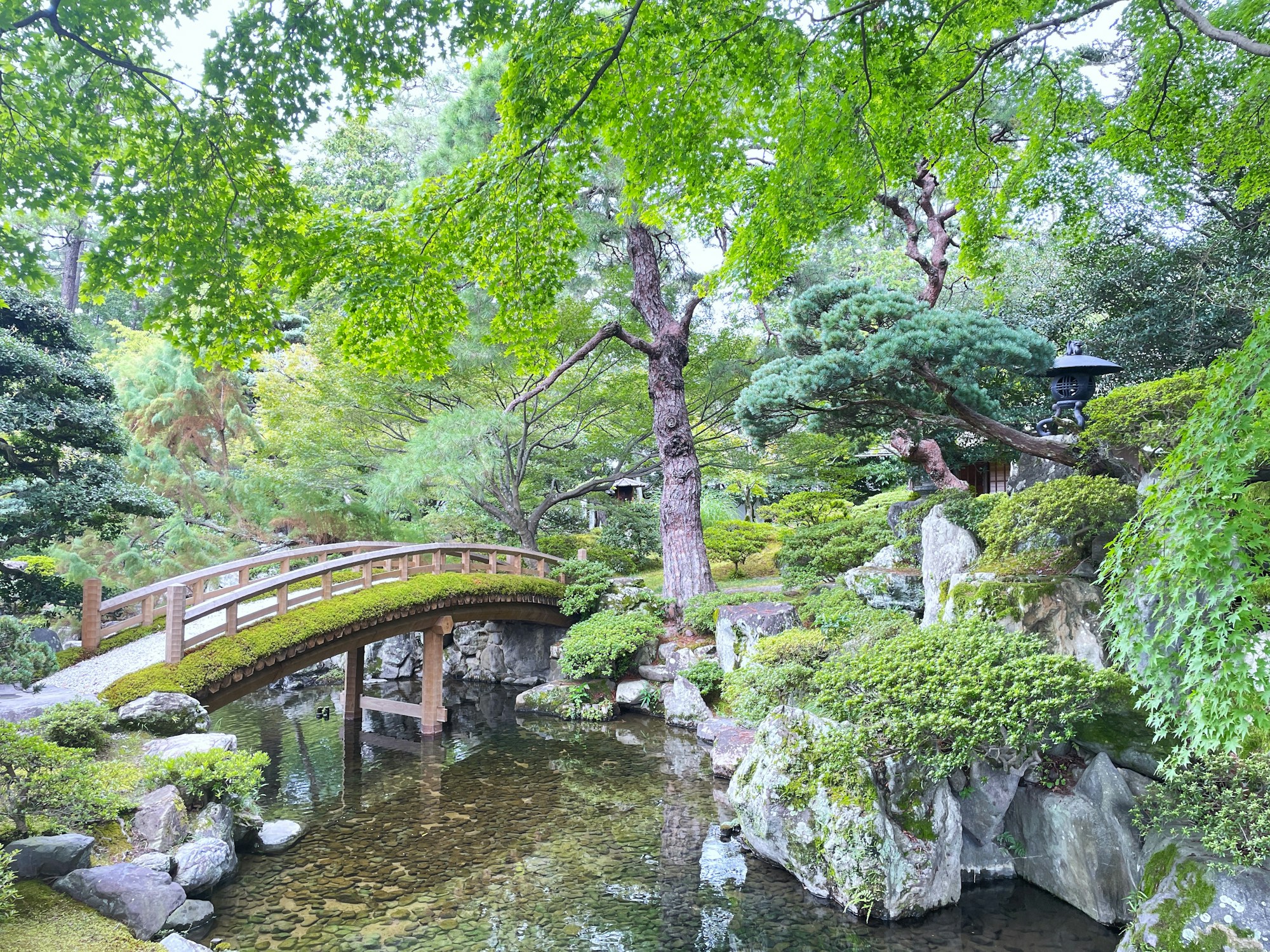 Allées et jardins du parc Kyoto Gyoen autour du Palais impérial