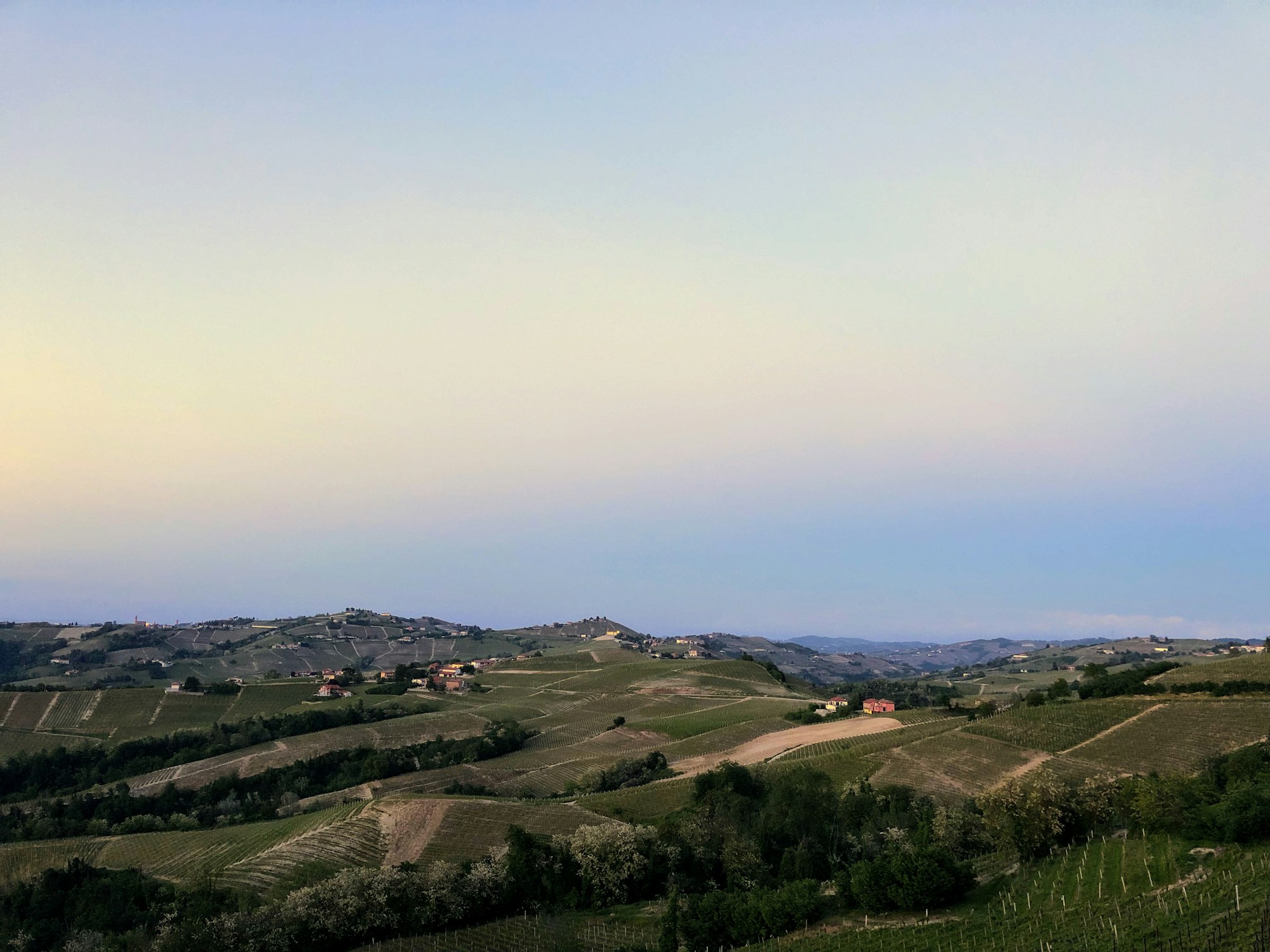 Weinberge der Langhe bei Sonnenuntergang im Herbst