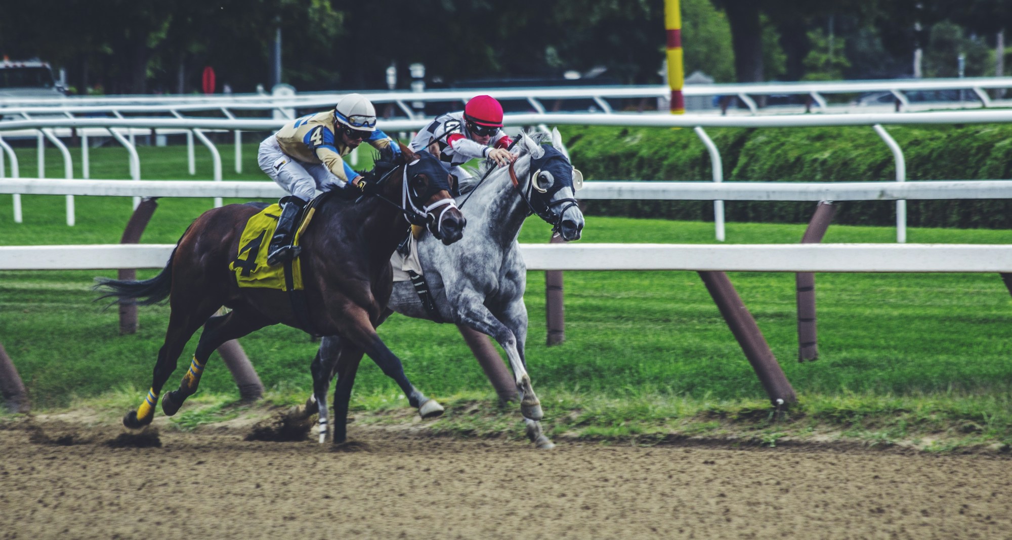 Horses neck and neck at the finish of a flat horse race