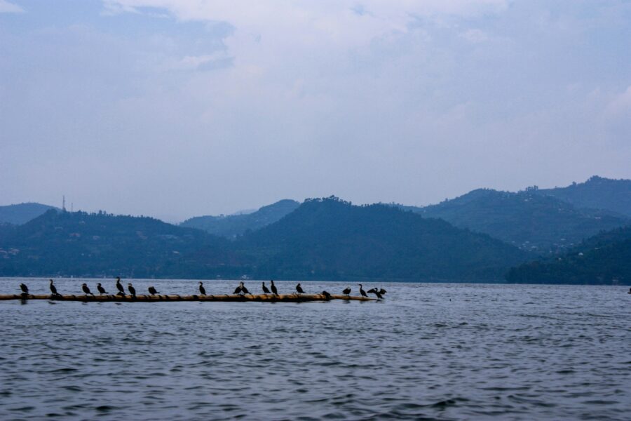 Barque de pêcheurs sur le lac Kivu au Rwanda, collines boisées à l'arrière-plan