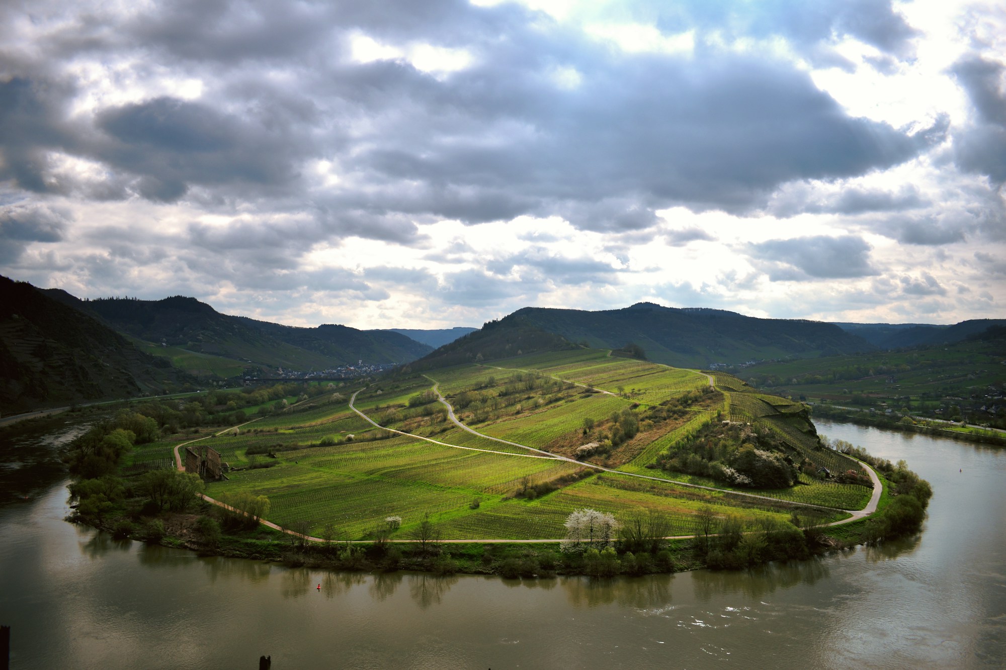 Ansa della Mosella costeggiata dai vigneti nella Renania-Palatinato