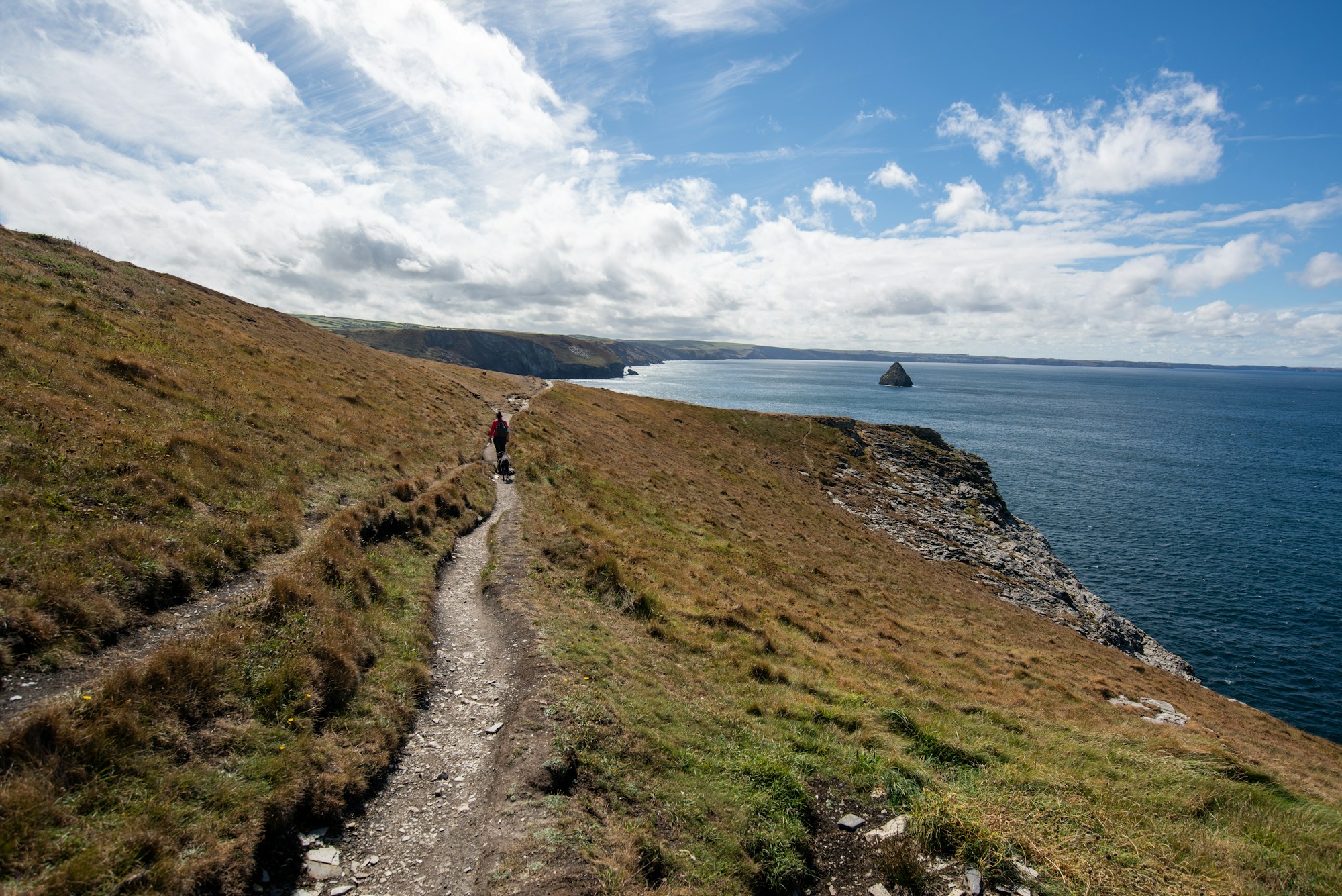 Küstenpfad in Cornwall oberhalb des Meeres