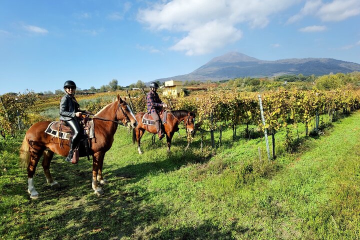 Horseback ride on the slopes of Vesuvius with a view over the Bay of Naples