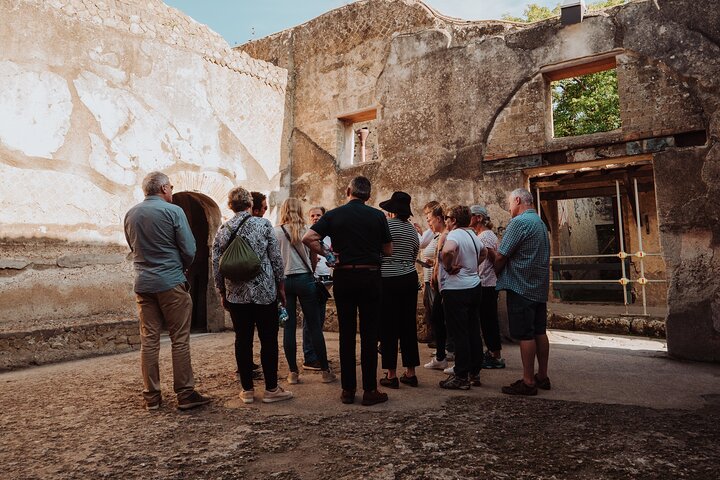 Ruins of Pompeii visited with an archaeologist guide