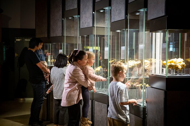 Colata d'oro durante la visita guidata della Perth Mint
