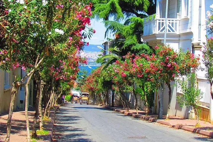 Front de mer de l'île de Büyükada, dans l'archipel des Îles des Princes près d'Istanbul