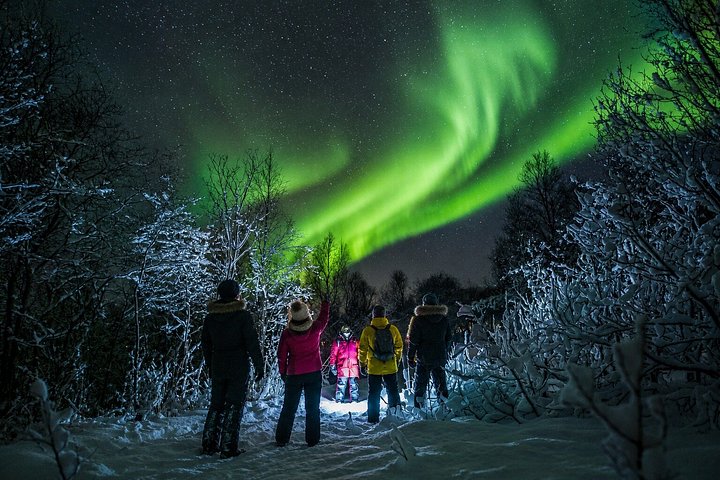 Chasse aux aurores boréales – Samuel Arnesens gate 5, 9008 Tromsø, Norvège (photo 2)
