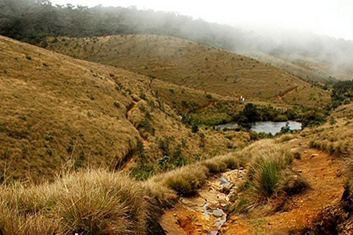 Horton Plains et World's End – Parc national de Horton Plains, Ohiya, Sri Lanka (photo 2)