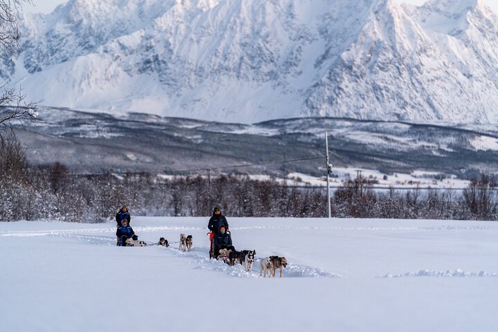 Husky Experience – Samuel Arnesens gate 5, 9008 Tromsø, Norvège (photo 1)