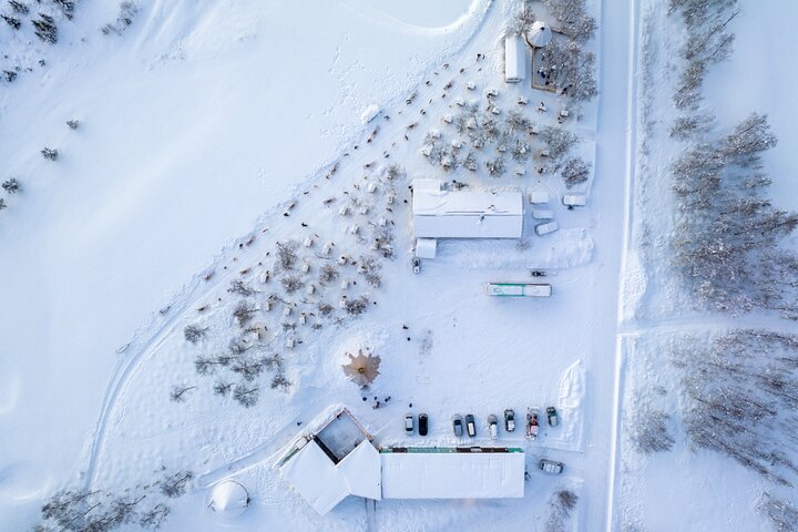 Husky Experience – Samuel Arnesens gate 5, 9008 Tromsø, Norvège (photo 2)