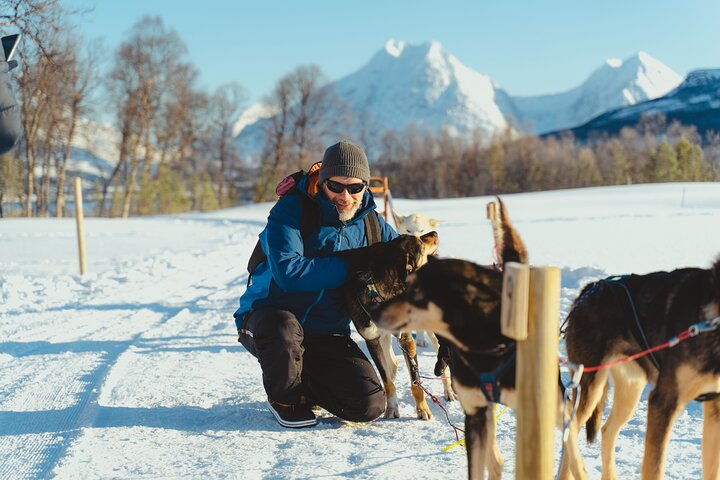 Husky Experience – Samuel Arnesens gate 5, 9008 Tromsø, Norvège (photo 3)