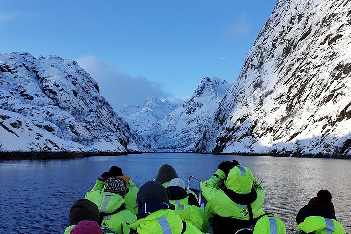 Safari aux aigles de mer et Trollfjord – Joh. E. Paulsens gate 12B, 8300 Svolvær, Norvège (photo 1)